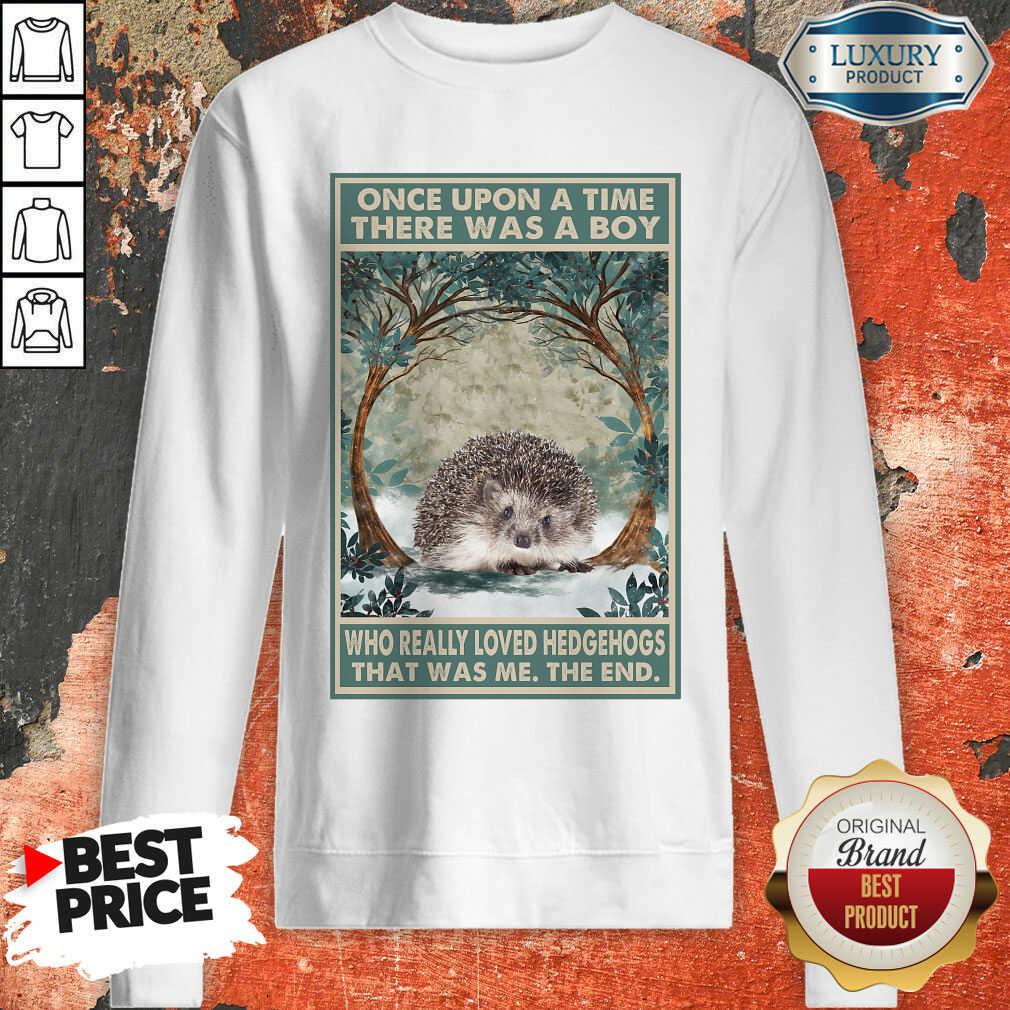 Funny Hedgehog Once Upon A Time Boy Vertical Poster Sweatshirt