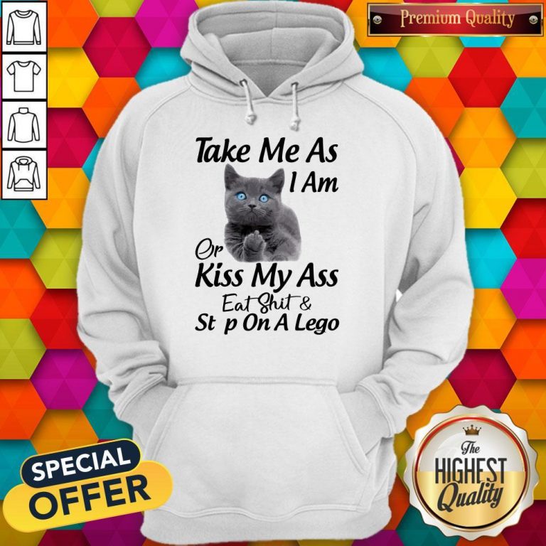 Funny Cat Take Me As I Am Or Kiss My Ass Eat And Step On A Lego Hoodie