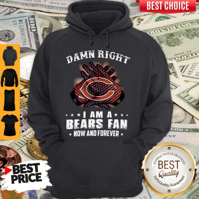 Funny Damn Right I Am A Bears Fan Now And Forever Hoodie