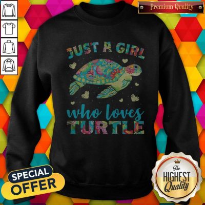 Nice Just A Girl Who Loves Turtle Color Sweatshirt
