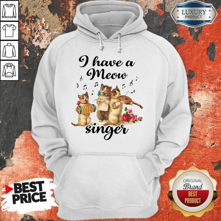 Top I Have A Meow Singer Hoodie