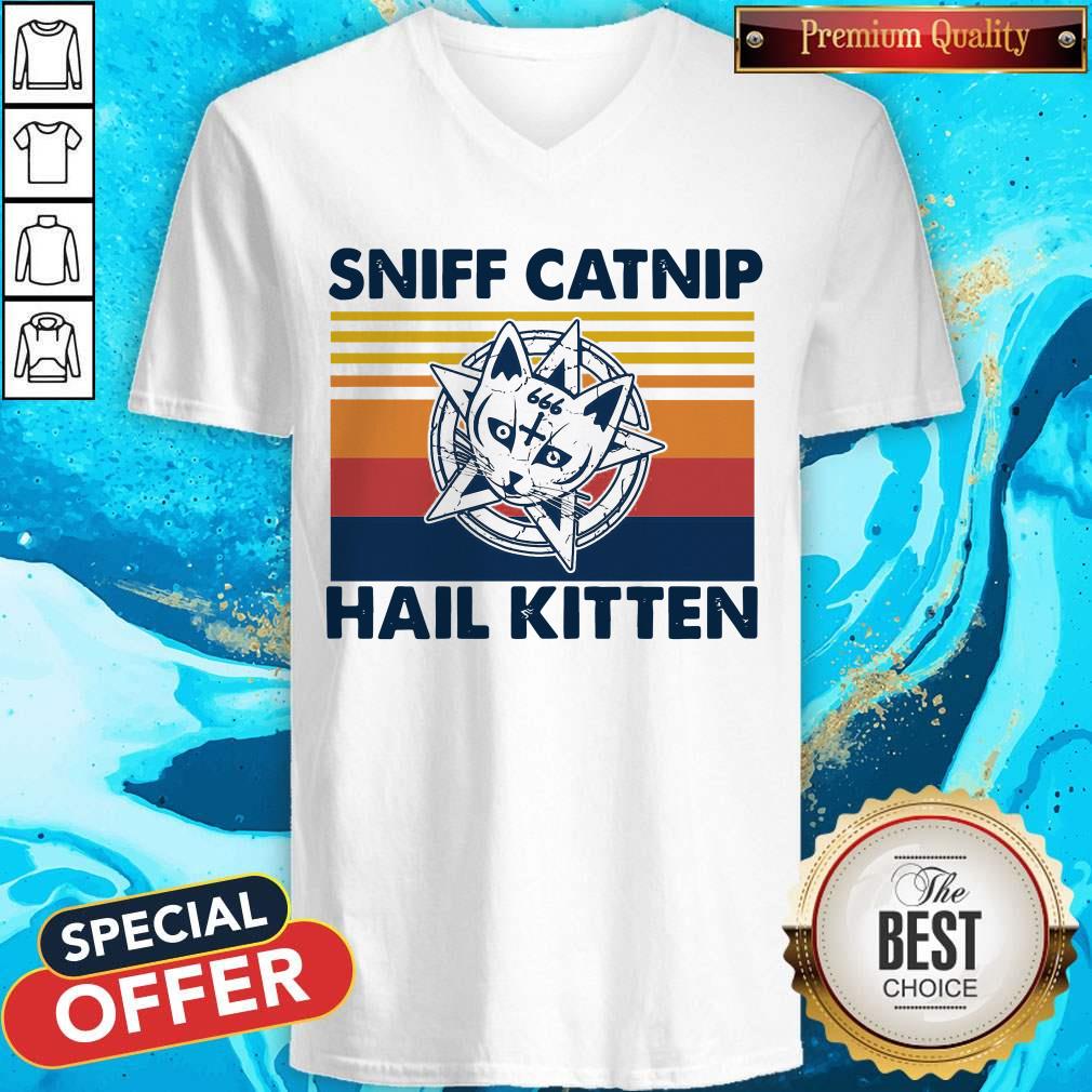 Awesome Sniff Catnip Hail Kitten Vintage V-neck