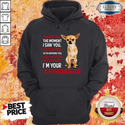 Cute I Wanted You The Moment I’m Your Chihuahua Hoodie