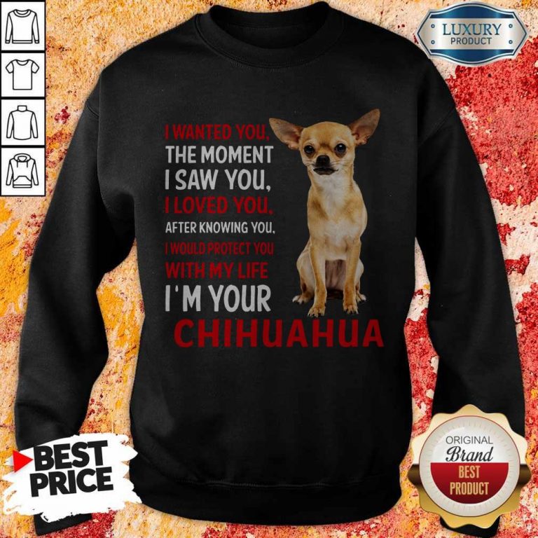 Cute I Wanted You The Moment I’m Your Chihuahua Sweatshirt