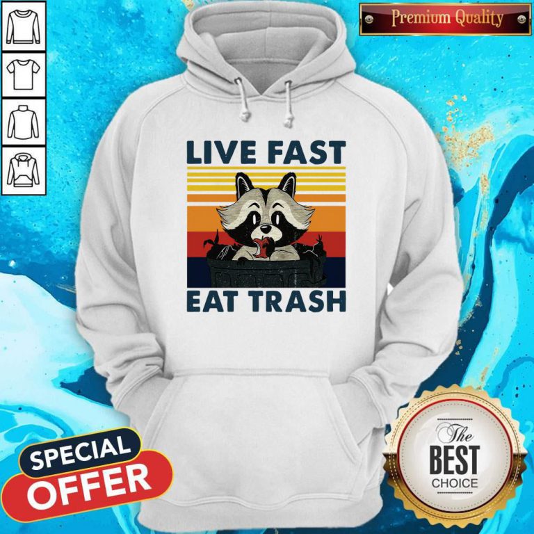 Good Raccoon Live Fast Eat Trash Vintage Hoodie