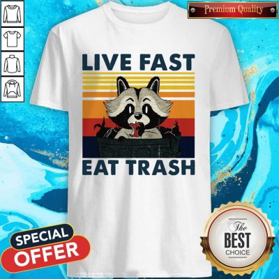 Good Raccoon Live Fast Eat Trash Vintage Shirt
