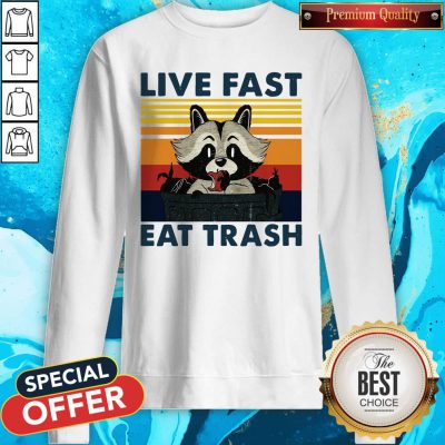 Good Raccoon Live Fast Eat Trash Vintage Sweatshirt