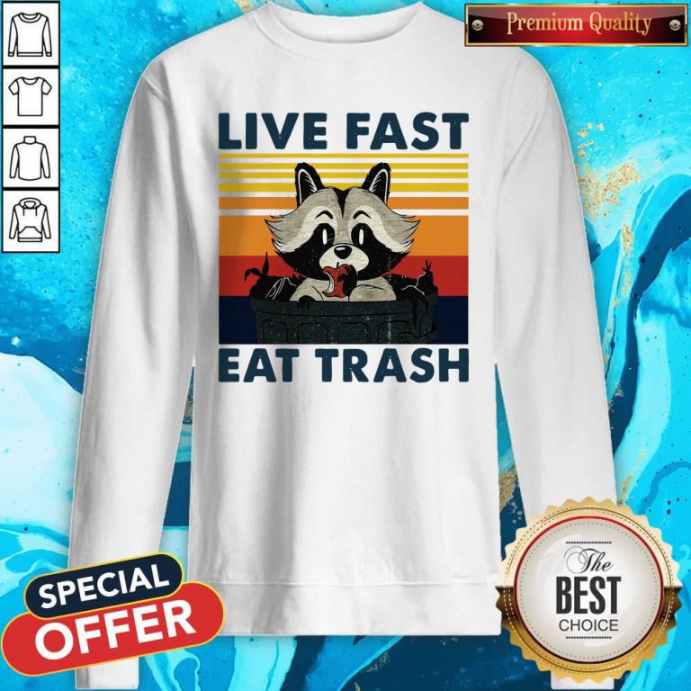 Good Raccoon Live Fast Eat Trash Vintage Sweatshirt