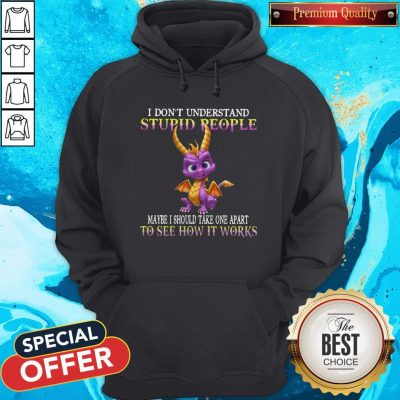 I Don’t Understand Stupid People Maybe I Should Take One Apart To See How It Works Hoodie