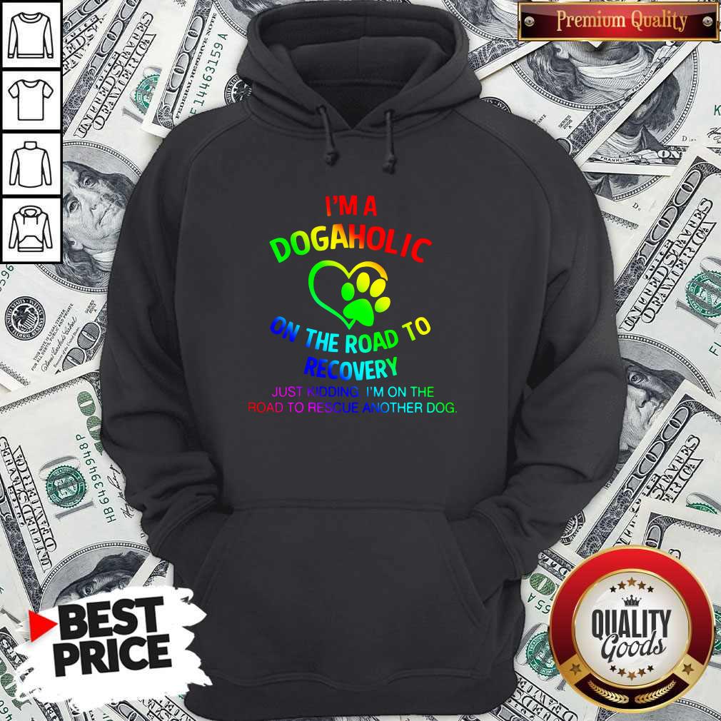 Nice LGBT I’m A Dogaholic On The Road To Recovery Hoodie