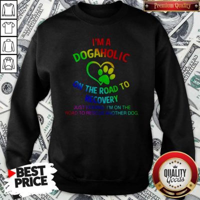 Nice LGBT I’m A Dogaholic On The Road To Recovery Sweatshirt