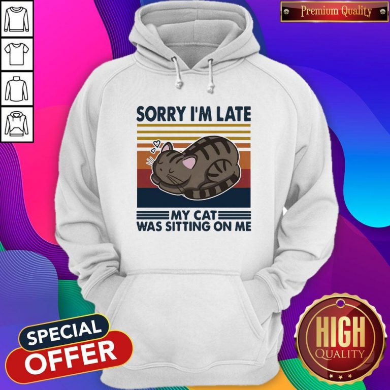 Official Sorry I’m Late My Cat Was Sitting On Me Cat Vintage Hoodie