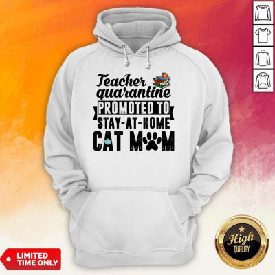 Teacher Quarantined Promoted To Stay At Home Cat Mom Hoodie
