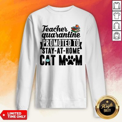 Teacher Quarantined Promoted To Stay At Home Cat Mom Sweatshirt