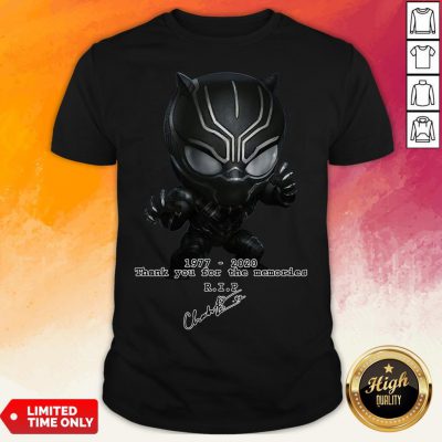 The Superhero Black Panther In The Marvel Cinematic Universe Rip Shirt