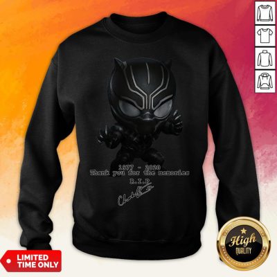 The Superhero Black Panther In The Marvel Cinematic Universe Rip Sweatshirt