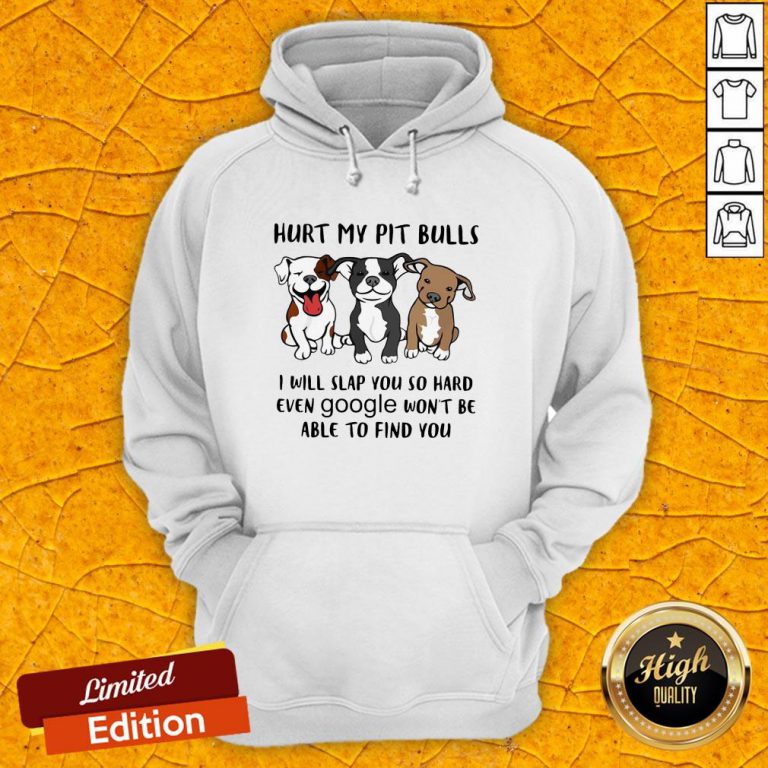Hurt My Pit Bulls I Will Slap You So Hard Even Google Won't Be Able To Find You Hoodie