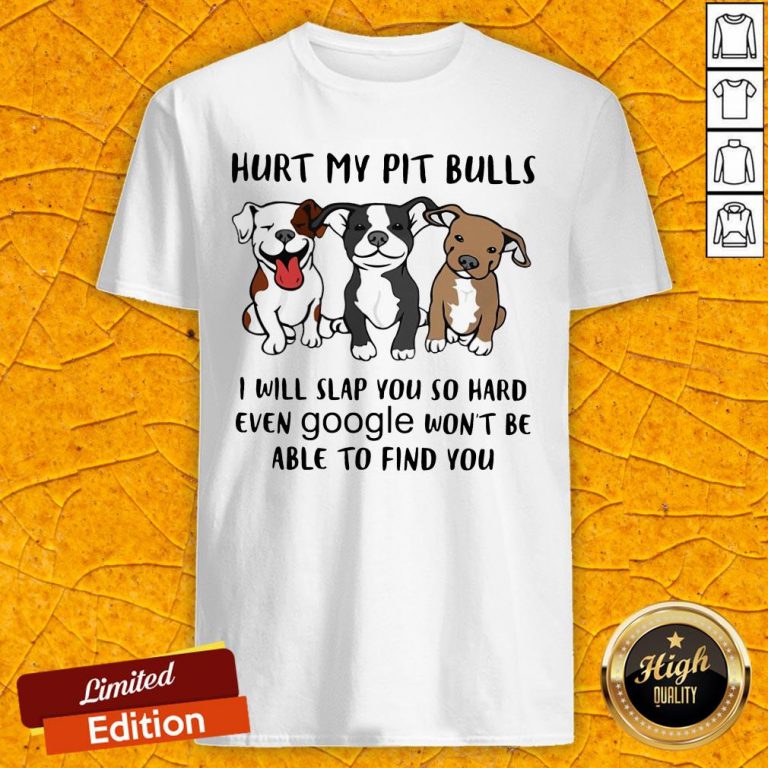 Hurt My Pit Bulls I Will Slap You So Hard Even Google Won't Be Able To Find You Shirt