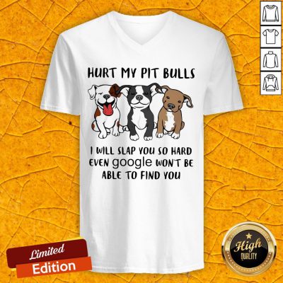 Hurt My Pit Bulls I Will Slap You So Hard Even Google Won't Be Able To Find You V-neck
