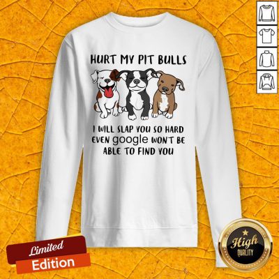 Hurt My Pit Bulls I Will Slap You So Hard Even Google Won't Be Able To Find You Sweatshirt