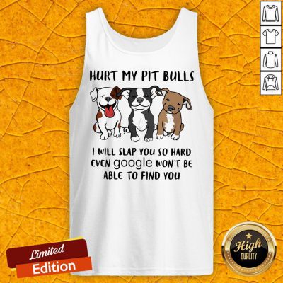 Hurt My Pit Bulls I Will Slap You So Hard Even Google Won't Be Able To Find You Tank Top