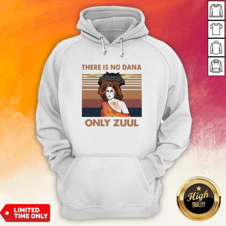 There Is No Dana Only Zuul Vintage Retro Hoodie