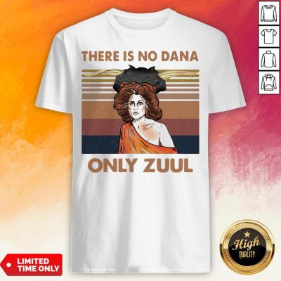 There Is No Dana Only Zuul Vintage Retro Shirt