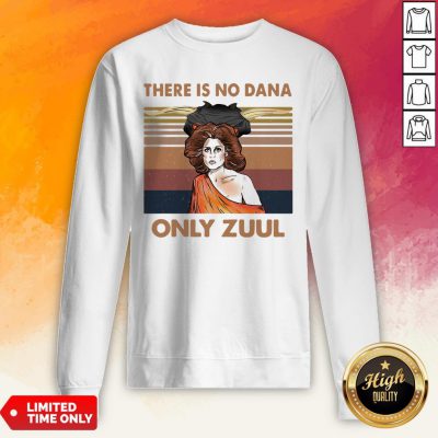 There Is No Dana Only Zuul Vintage Retro Sweatshirt