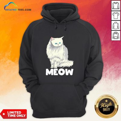 Funny Meow Cat Lady and Cats Kittens People Men Women Gift Hoodie