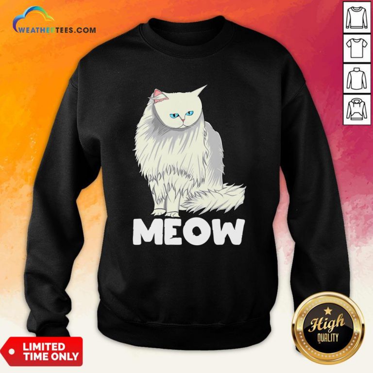 Funny Meow Cat Lady and Cats Kittens People Men Women Gift Sweatshirt