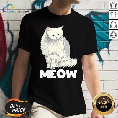 Funny Meow Cat Lady and Cats Kittens People Men Women Gift V-neck
