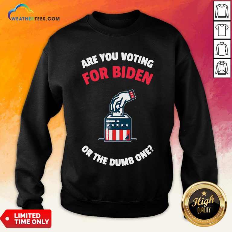 Which Are You Voting For Biden Or The Dumb One American Flag Election Sweatshirt - Design By Weathertees.com