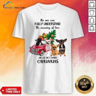 No One Can Fully Understand The Meaning Of Love Chihuahuas Christmas Shirt - Design By Weathertees.com