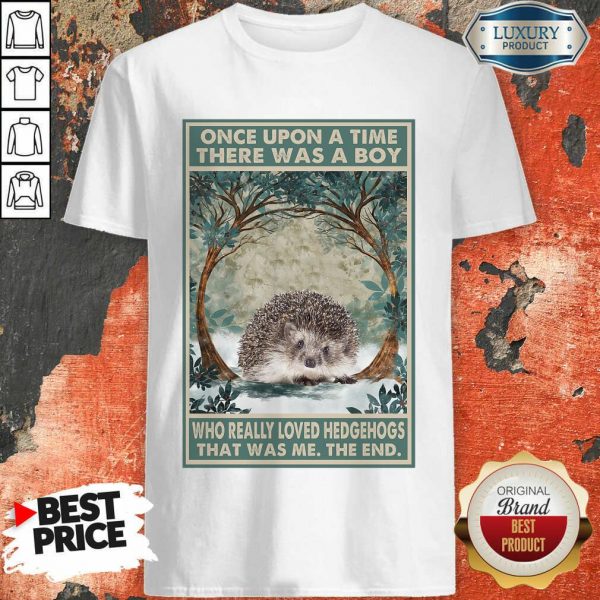 Funny Hedgehog Once Upon A Time Boy Vertical Poster Shirt