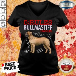 Original 5 Rules Bullmastiff Owners V-neck