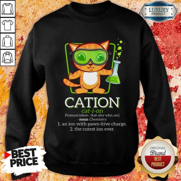 Cat Science Cation Sweatshirt
