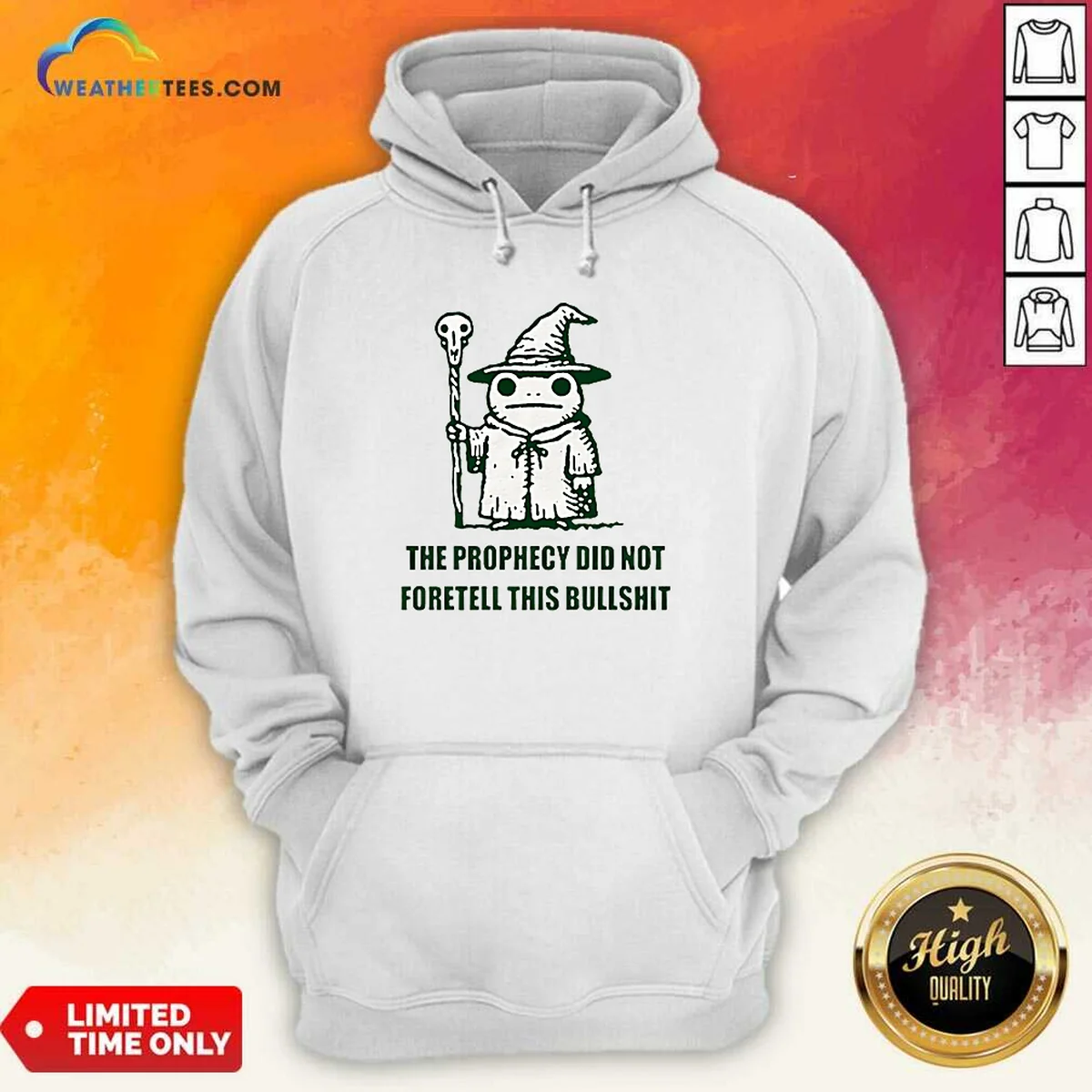 Premium Wizard Frog The Prophecy Did Not Foretell This Bullshit Hoodie in dark color, front view with kangaroo pocket and drawstring hood